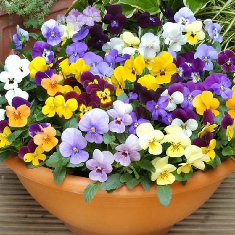 Outdoor Artificial Pansy Flowers