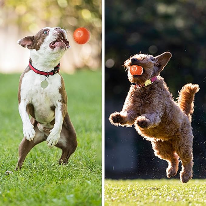 🎁Automatic smart teasing dog ball that can't be bitten🐶