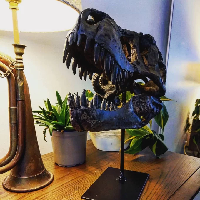 🔥-1/10 scale model of Tyrannosaurus Rex skull