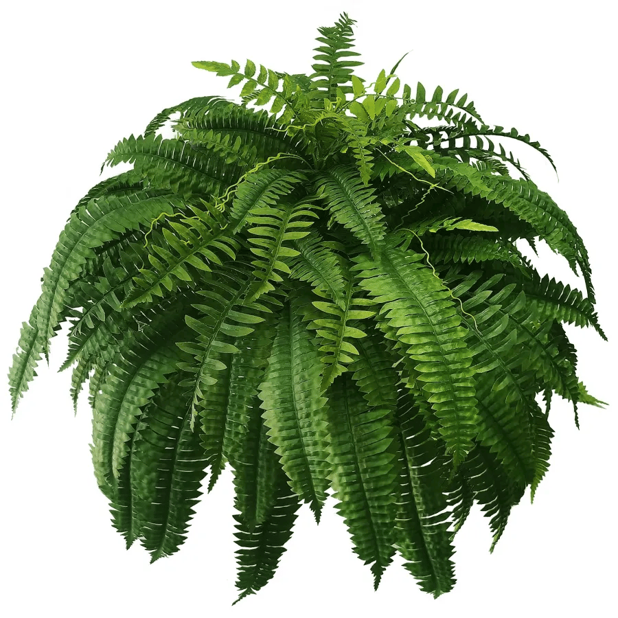 💥UV Resistant Lifelike Artificial Boston Fern