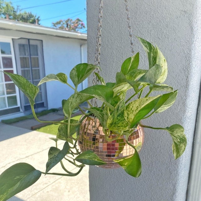 Disco Ball Planter