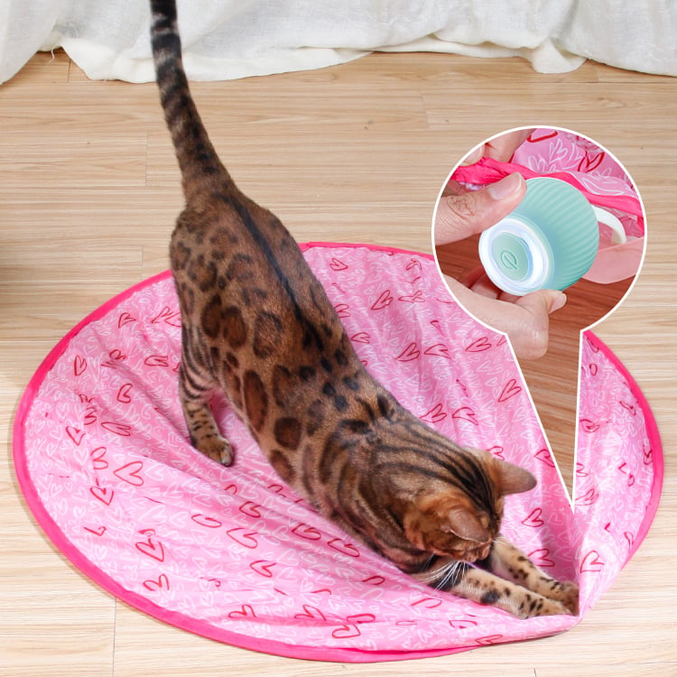 ✨2 in 1 Simulated Interactive hunting cat toy