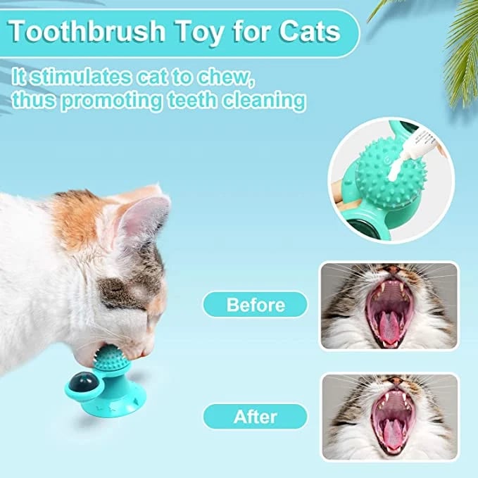 🔥🔥 Interactive Windmill Cat Toys with Catnip