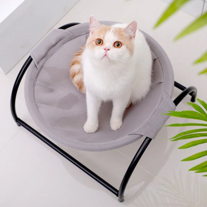 Floor Cat Hammock-With Stand