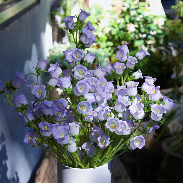 🔔Bellflower Seeds—Spring's Rainbow Romance🌸