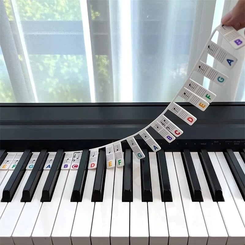 🔥3 PCS Removable Piano Keyboard Note Labels