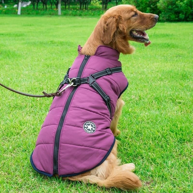 Waterproof Winter Pet Jacket with Built-in Harness