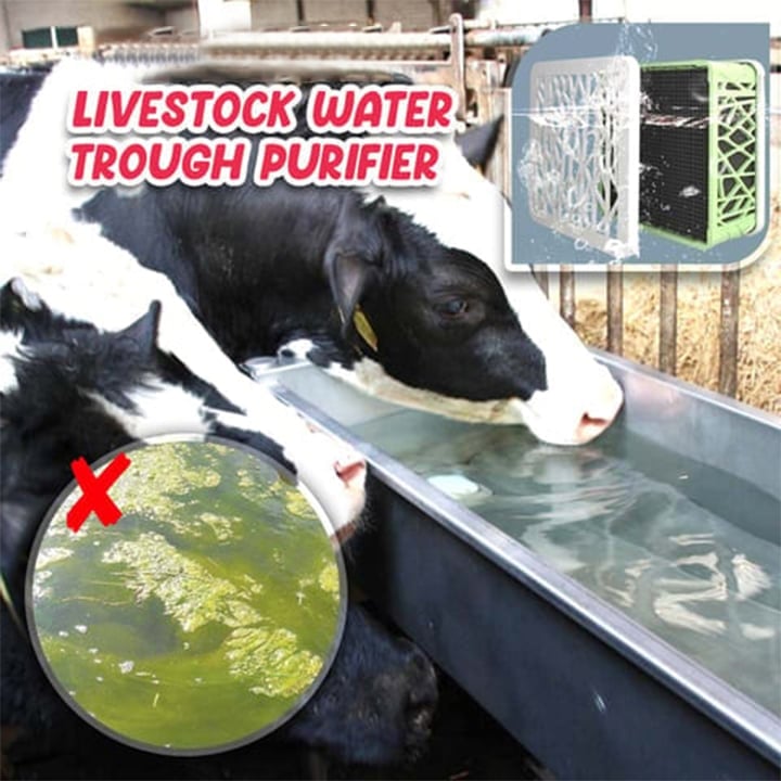 Livestock Water Trough Purifier