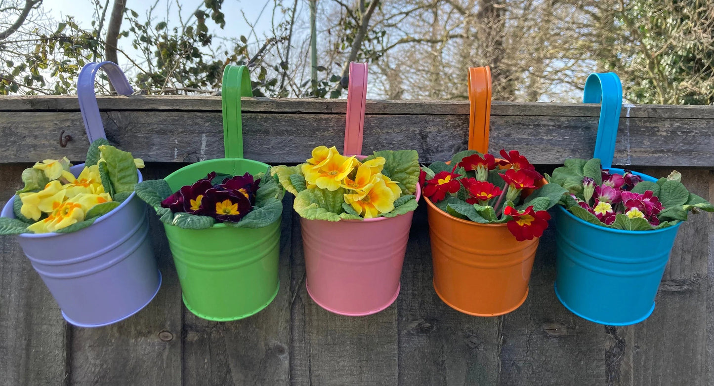 Hanging flower Pots