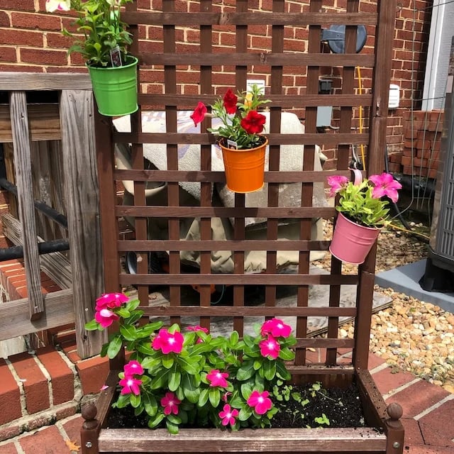 Hanging flower Pots