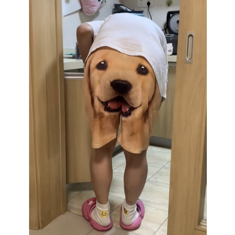 Dog 3D Beach Shorts