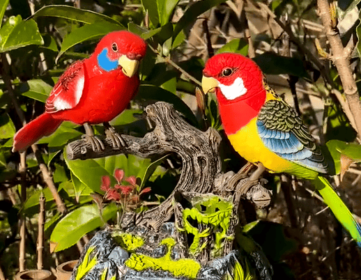 🔥Electric Battery Operated Control Voice-Parrots