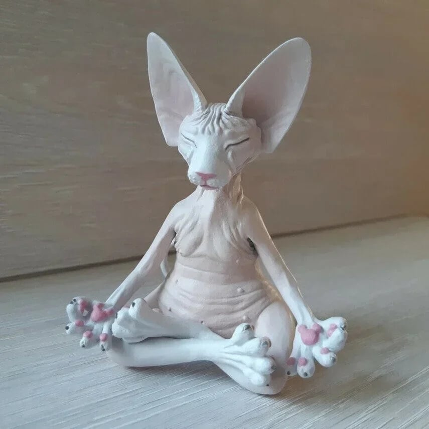 🔥Last Day Promotion🔥😻Sphynx Cat Meditate Yoga