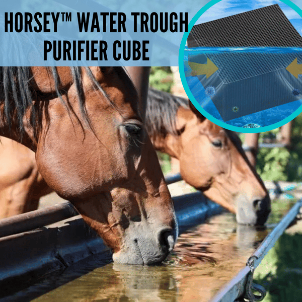 Livestock Water Trough Purifier