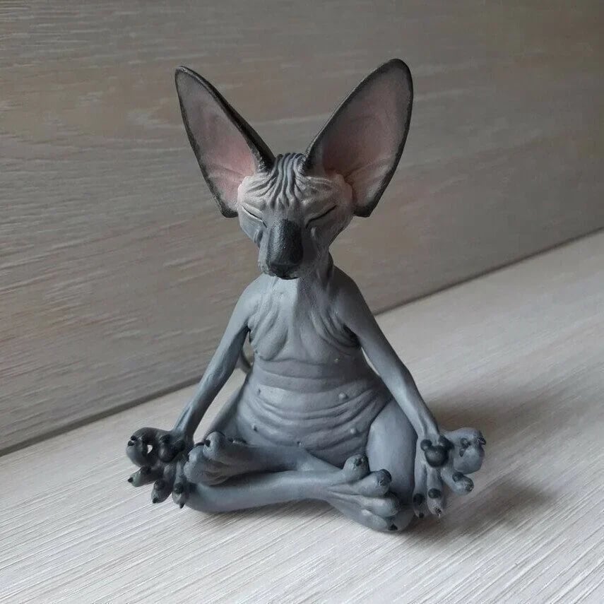 🔥Last Day Promotion🔥😻Sphynx Cat Meditate Yoga