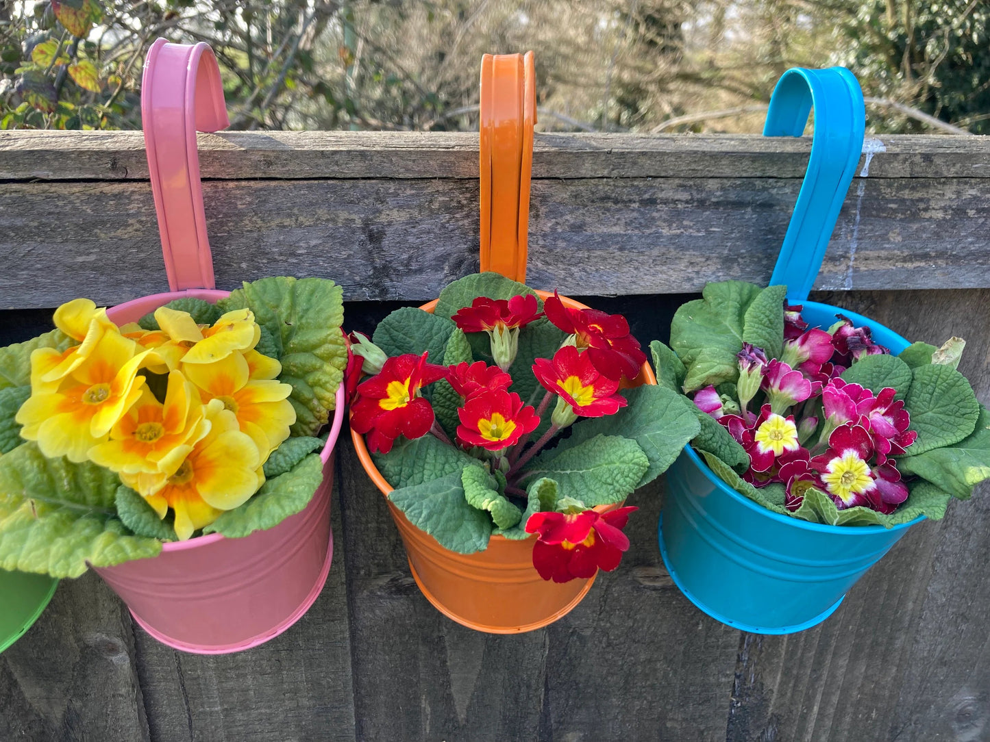 Hanging flower Pots