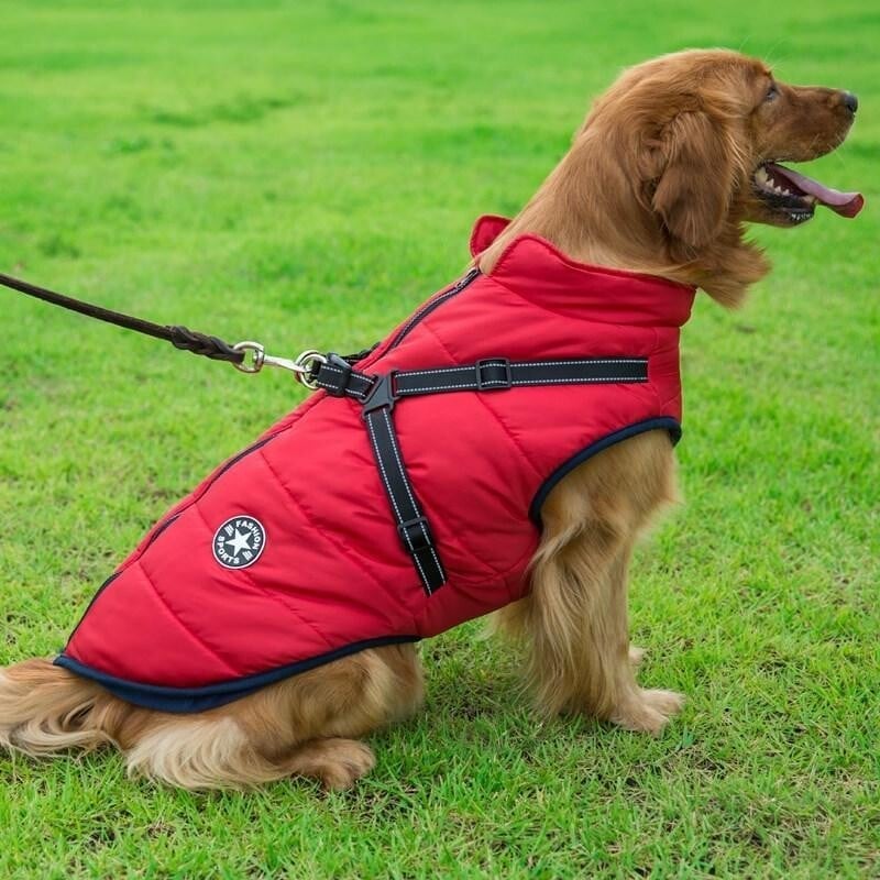 Waterproof Winter Pet Jacket with Built-in Harness
